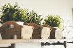 Images and 3d model