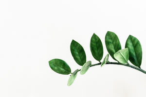 Variant - color