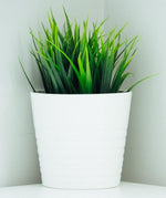 Small Image